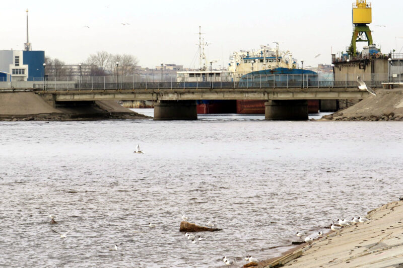 Белый мост, Канонерский остров, Белый остров