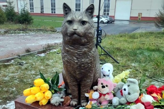 памятник коту Кузе, жестокое обращение с животными, зоозащита