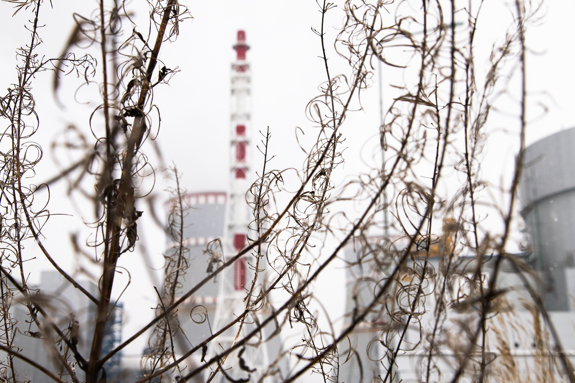 Ленинградская АЭС, атомная электростанция, атомная энергетика