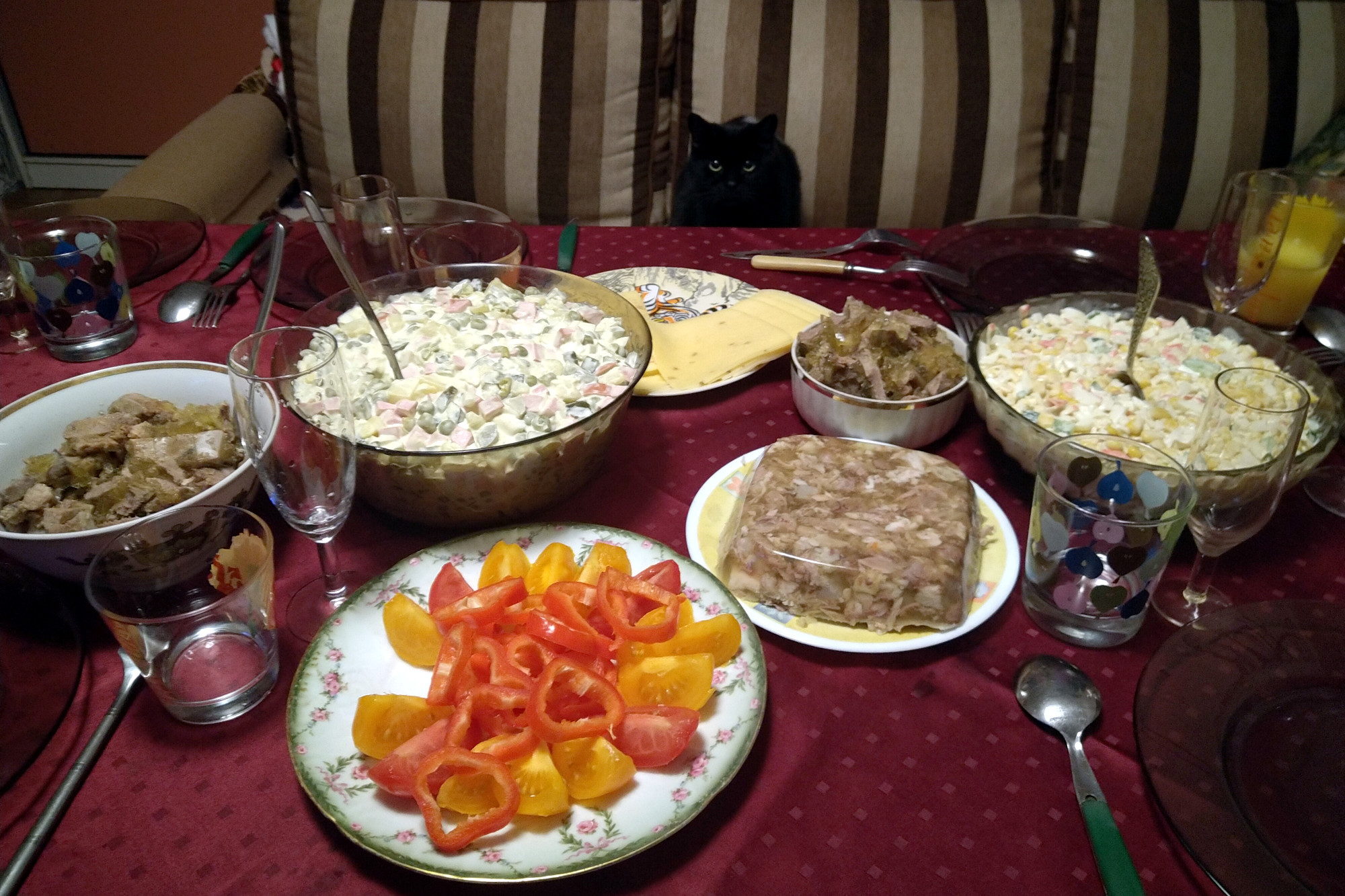 кошка, еда, продукты, питание, новогоднее застолье, холодец, салаты, овощи