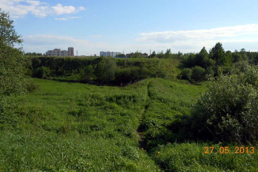 сквер Расула Гамзатова, зелёные зоны, зелень