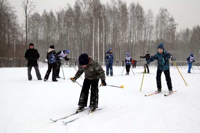 Выборгская лыжня, Парголовская лыжня, лыжный спорт