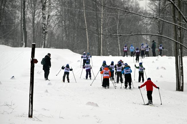Выборгская лыжня, Парголовская лыжня, лыжный спорт