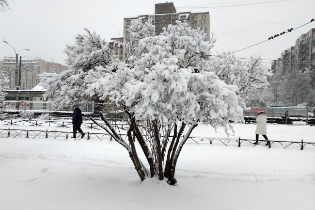 зима, снегопад, улица Кораблестроителей