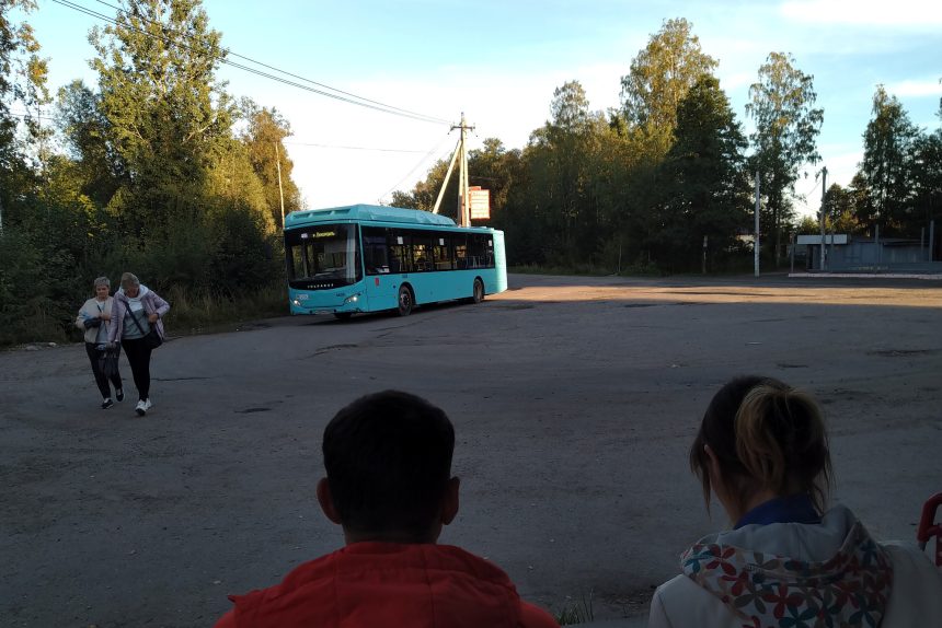 общественный транспорт, автобус 469 на кольце в садоводстве Восход, Синявино, пригородные автобусы