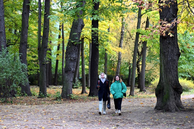 парк лесотехнической академии, зелёные зоны, деревья, прогулки, осень