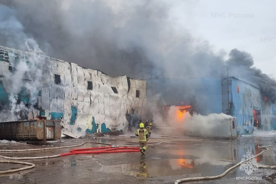 пожар в Ломоносовском районе