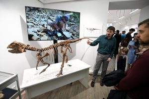 выставка Динозавры России, СПбГУ, Петербургский университет, палеонтология