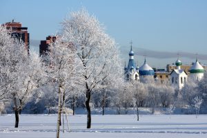 парк городов-героев, пулковский парк, зима, снег