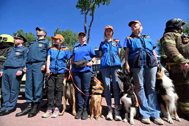 спасатели, МЧС, служебные собаки