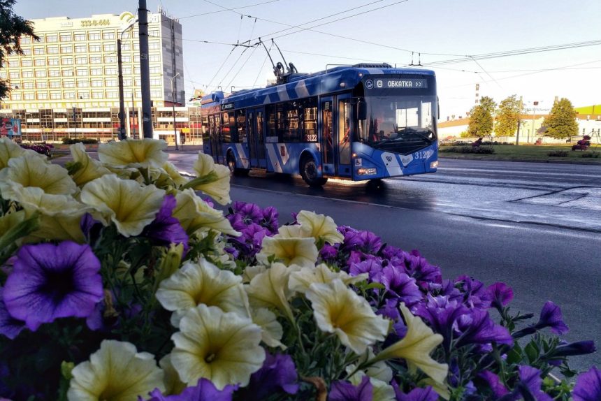 троллейбус, обкатка, цветы