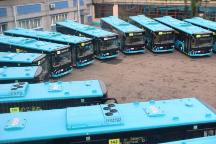 новые автобусы, общественный транспорт