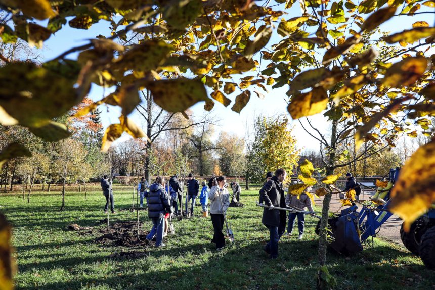 Как прошёл общегородской день чистоты и муниципальные субботники