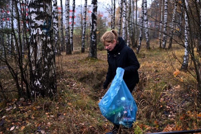 осенний день благоустройства, субботник, муниципалитет Парголово