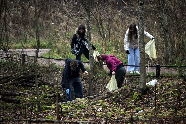 осенний день благоустройства, субботник, муниципалитет Парголово