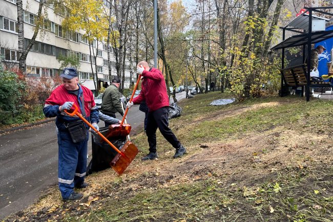 осенний день благоустройства, субботник, муниципалитет Северный