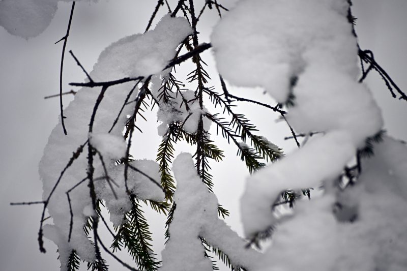 снегопад, зима