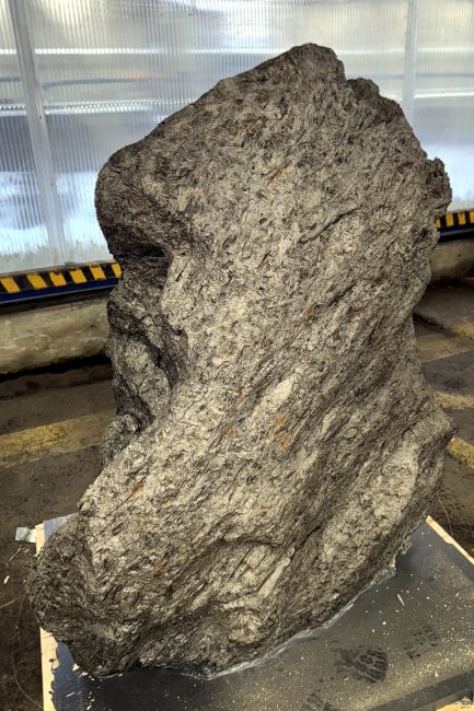 контрабанда метеорита, метеорит Алетай, таможня