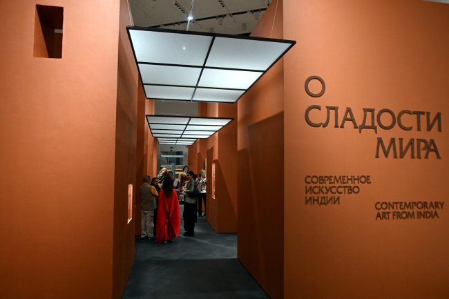 Эрмитаж, Главный штаб, выставка «О сладости мира», современное искусство, Индия